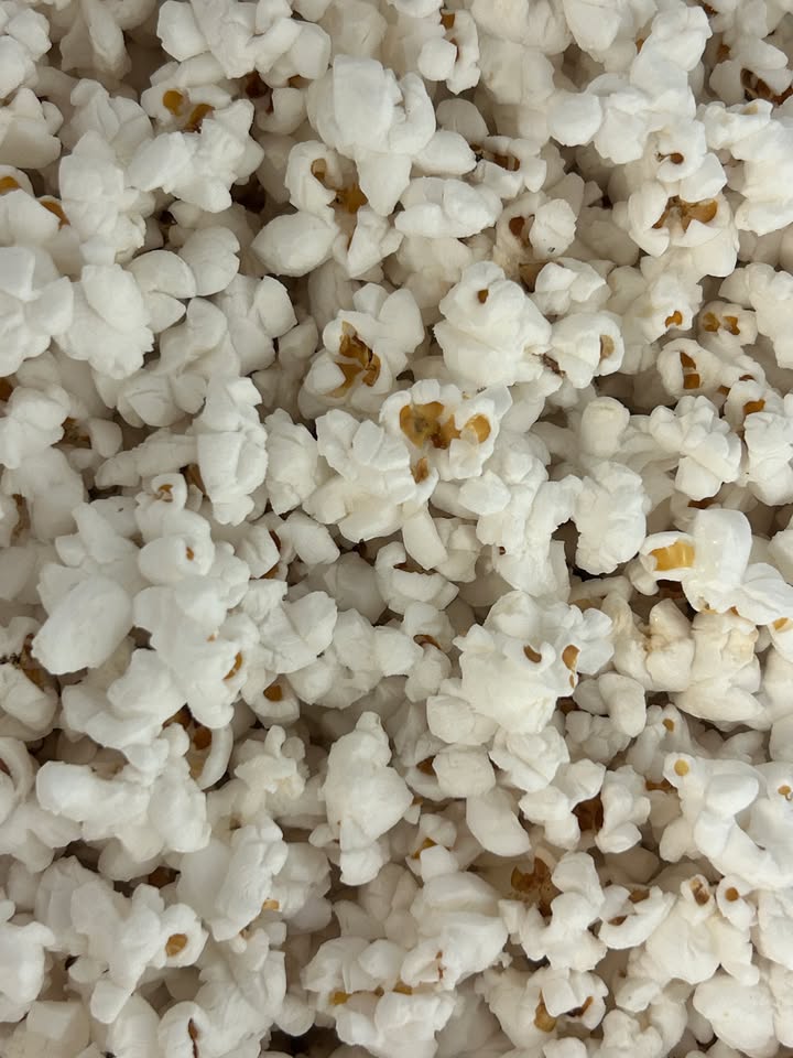 Lightly Salted