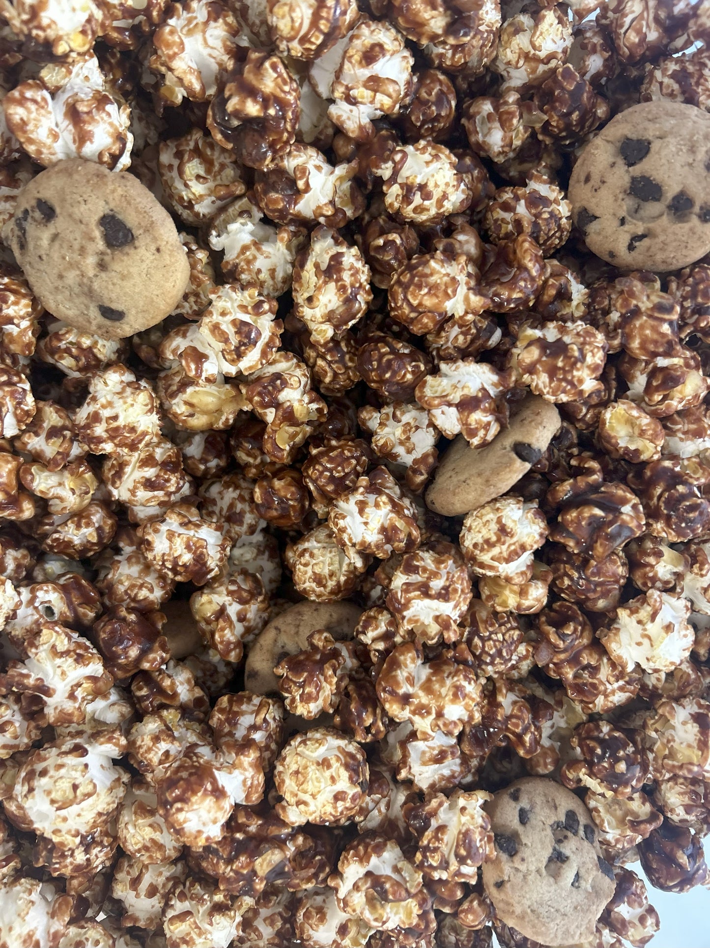 Chocolate Chocolate Chip